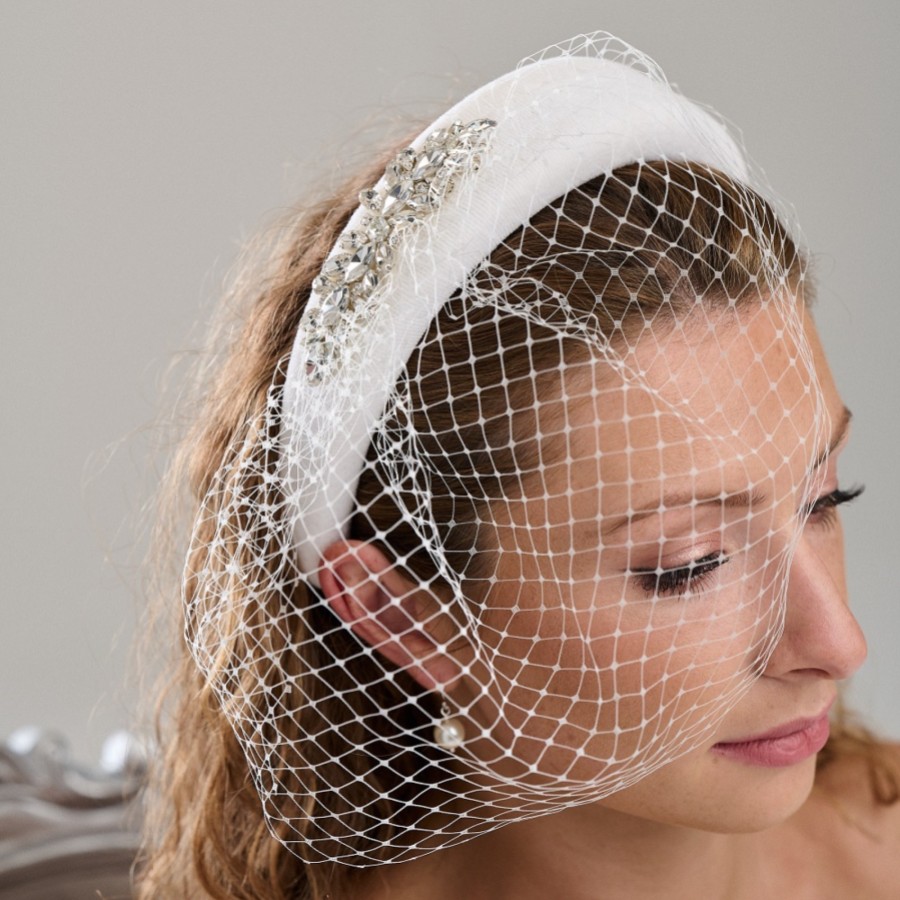 What is a Birdcage Veil?