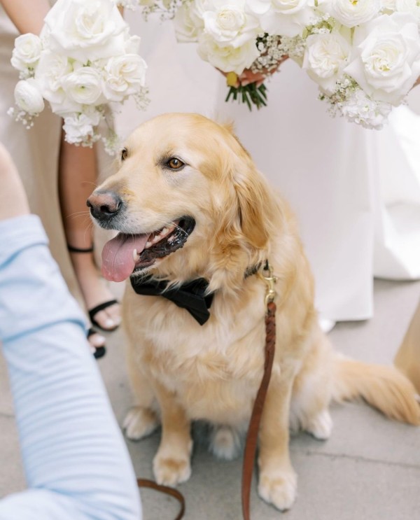 Real Bride Ashley