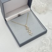 Photograph 2