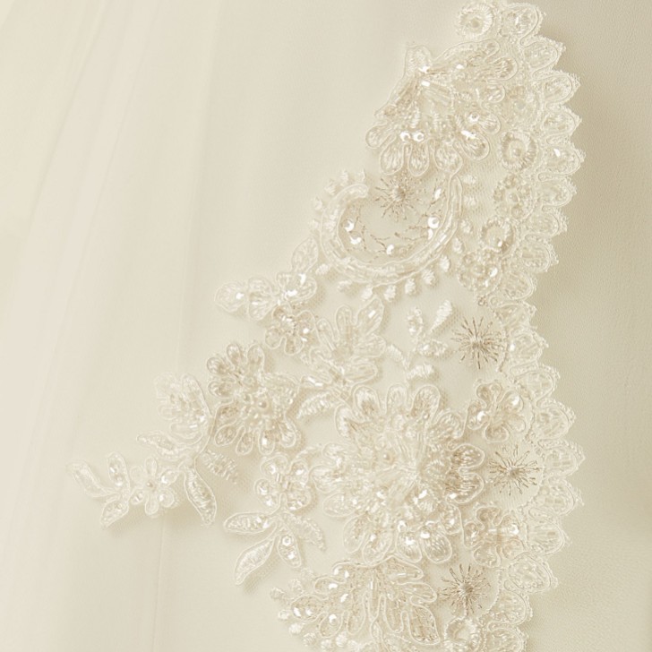 Bianco Single Tier Cut Edge Cathedral Veil with Beaded Lace Train S236