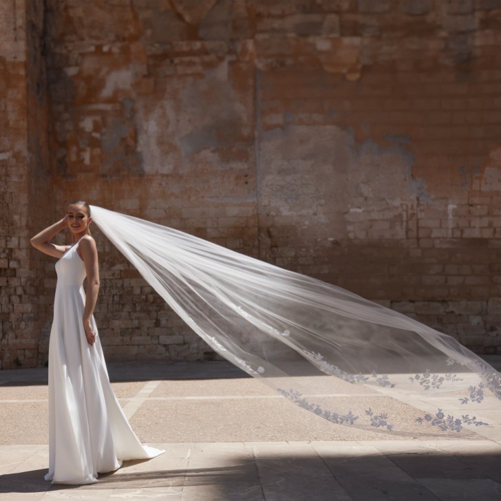 Bianco Ivory Single Tier Cathedral Veil with Lace Appliques S519