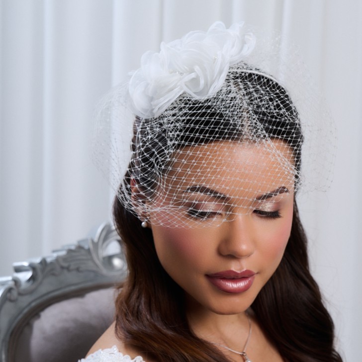 Felicity Ivory Floral Birdcage Veil
