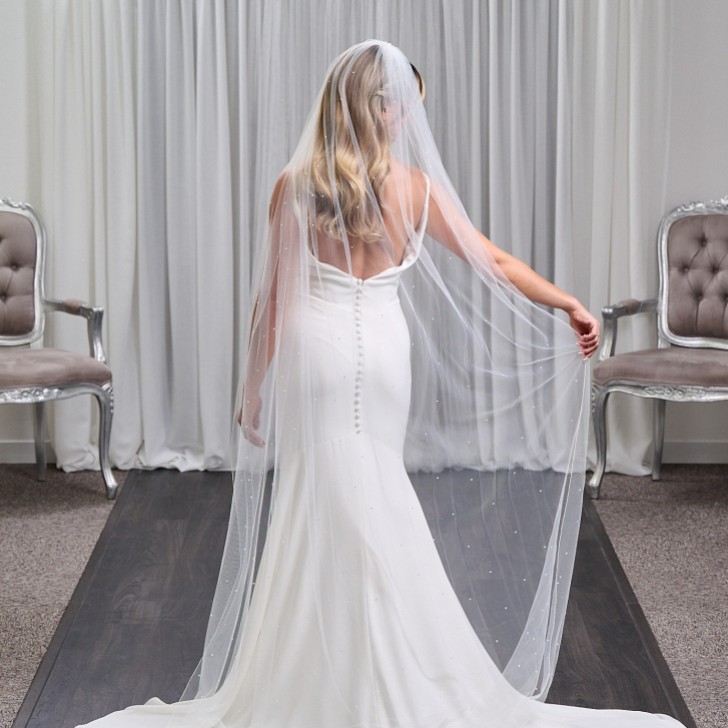 Lovington Long Ivory Single Tier Scattered Diamante Veil with Corded Edge