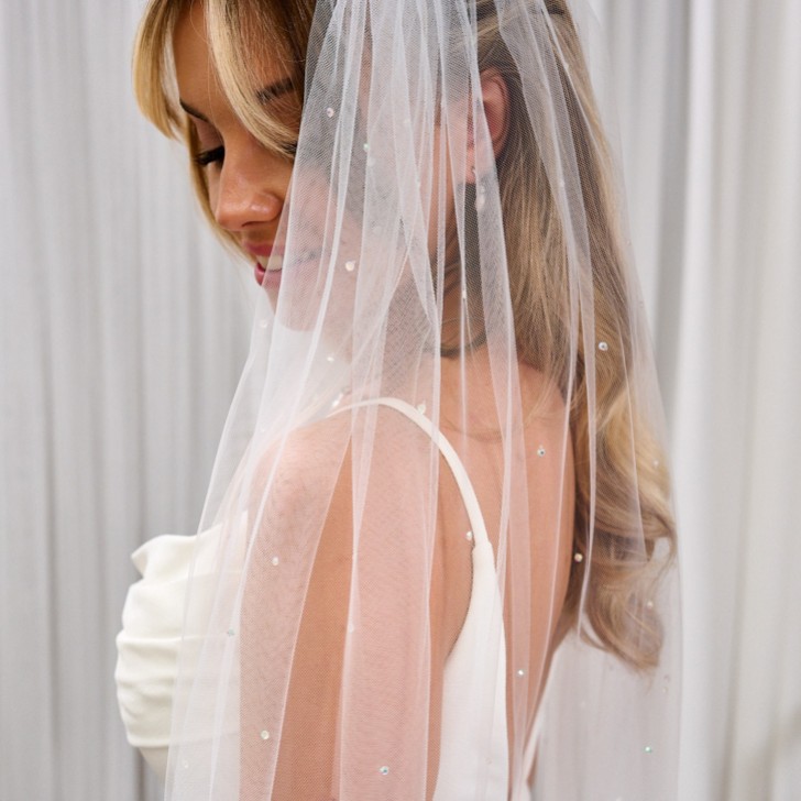 Lovington Long Ivory Single Tier Scattered Diamante Veil with Corded Edge
