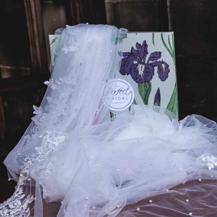 Perfect Bridal Elfenbeinfarbener einstufiger Perlenschleier in Walzerlänge mit floraler Spitzenkante