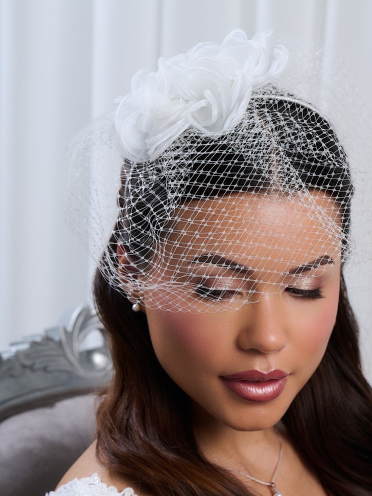 Felicity Ivory Floral Birdcage Veil