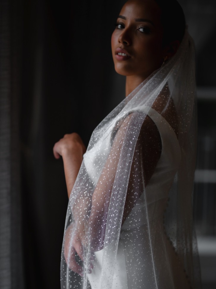 Linzi Jay Sparkly Tulle Single Tier Bridal Veil LA602