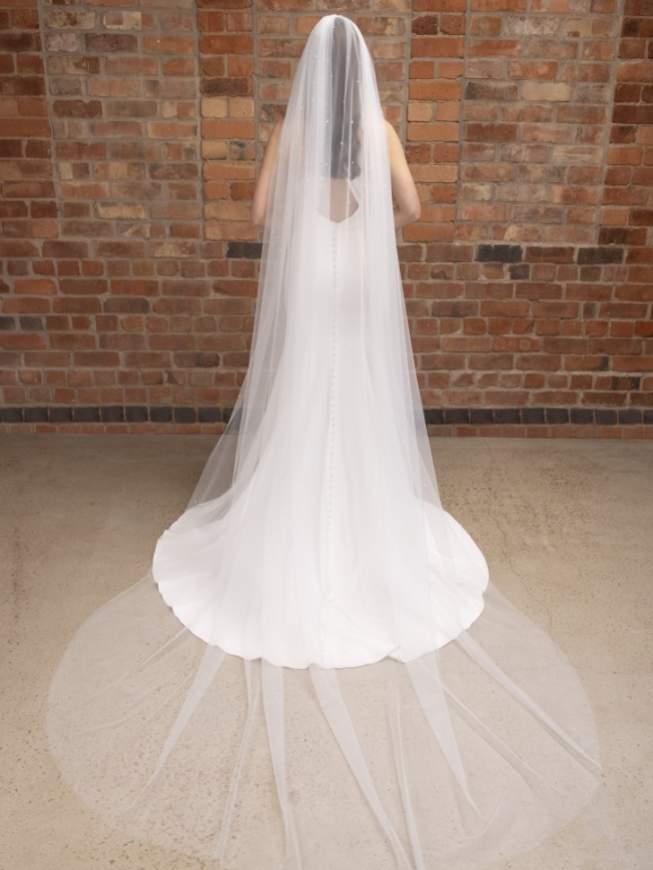 Perfect Bridal Ivory Single Tier Cut Edge Scattered Crystal Cathedral Veil