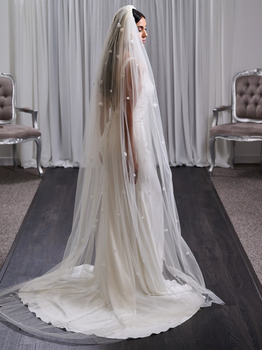 Photograph 3