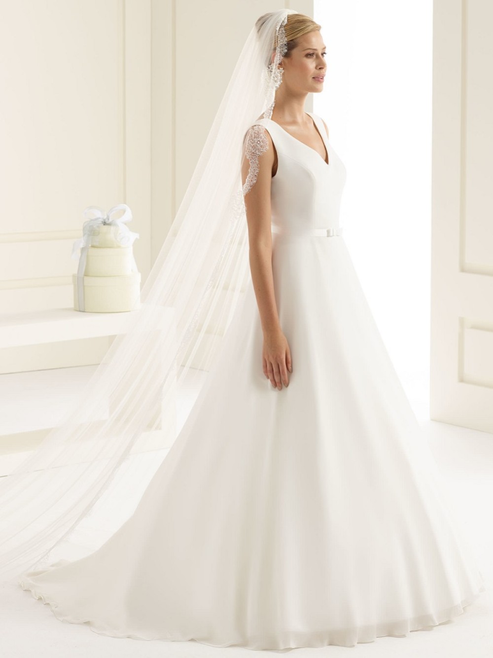 Photograph of Bianco Single Tier Fine Lace Edge Cathedral Veil S161