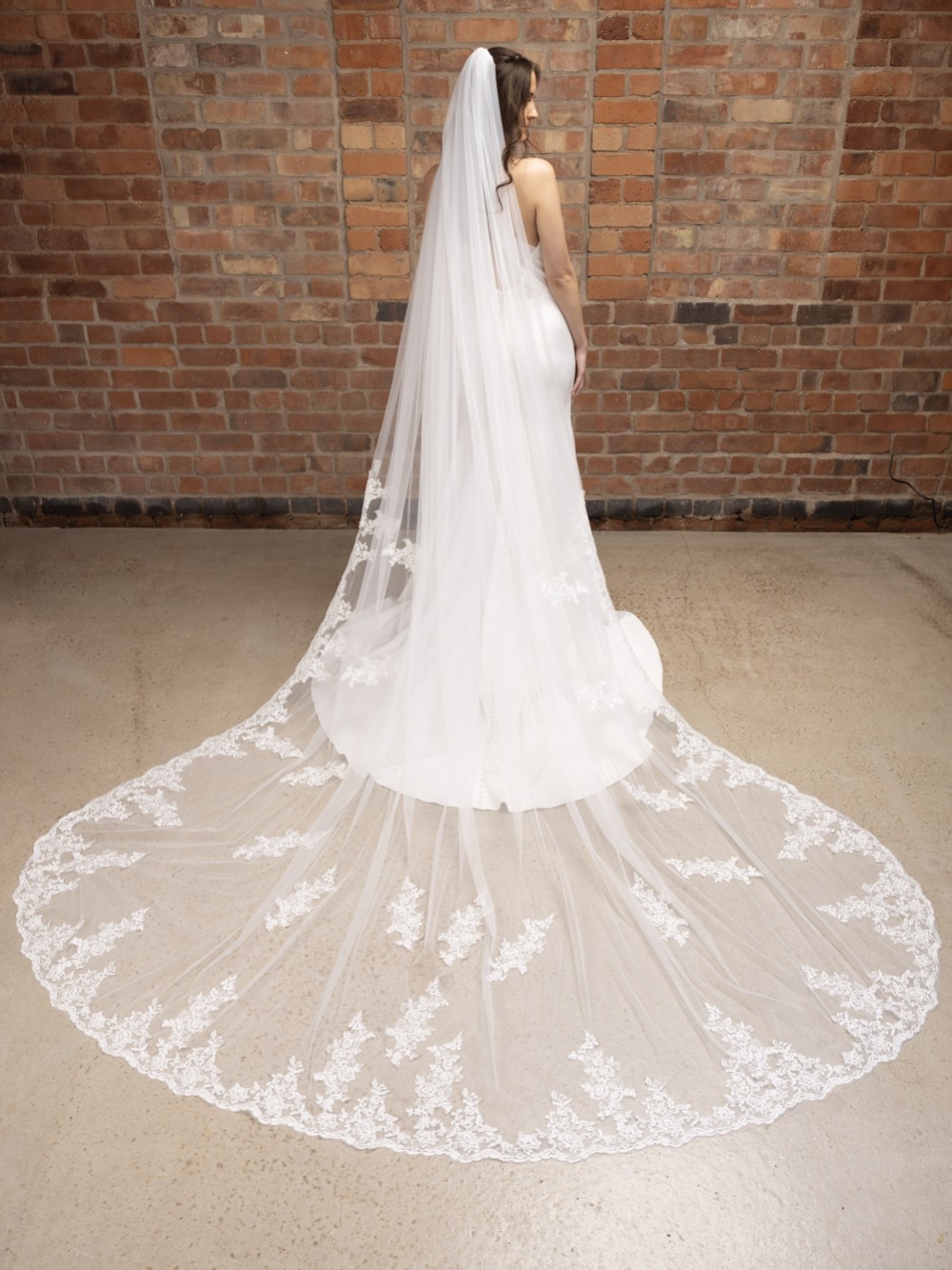 Photograph of Perfect Bridal Ivory Single Tier Corded Lace Cathedral Veil with Motifs