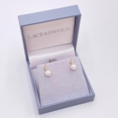 Photograph: Evie Gold Dainty Pearl Stud Earrings
