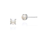 Photograph: Ivory and Co Cairo Silver Classic Pearl Stud Earrings