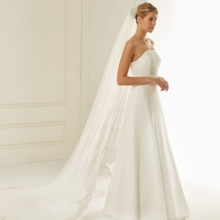 Bianco Single Tier Cut Edge Cathedral Veil with Beaded Lace Train S236