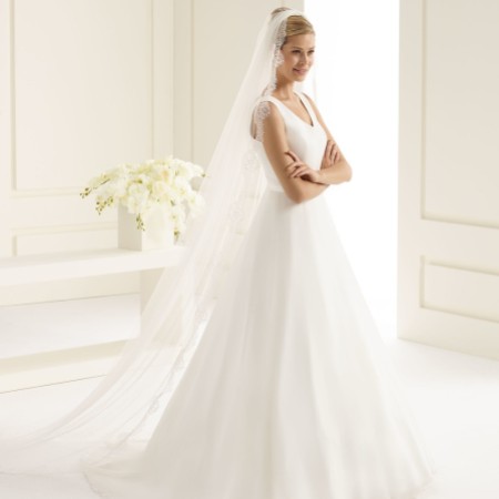 Bianco Single Tier Fine Lace Edge Chapel Length Veil S218