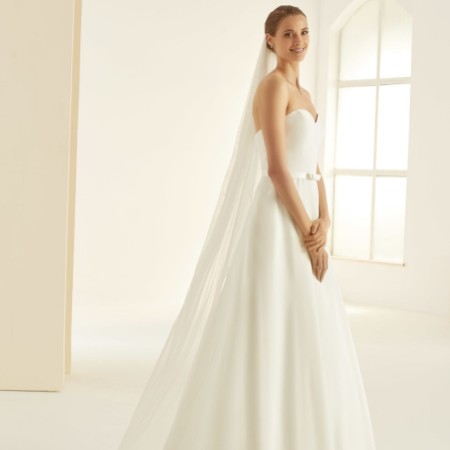 Bianco Single Tier Glitter Tulle Floor Length Veil S361