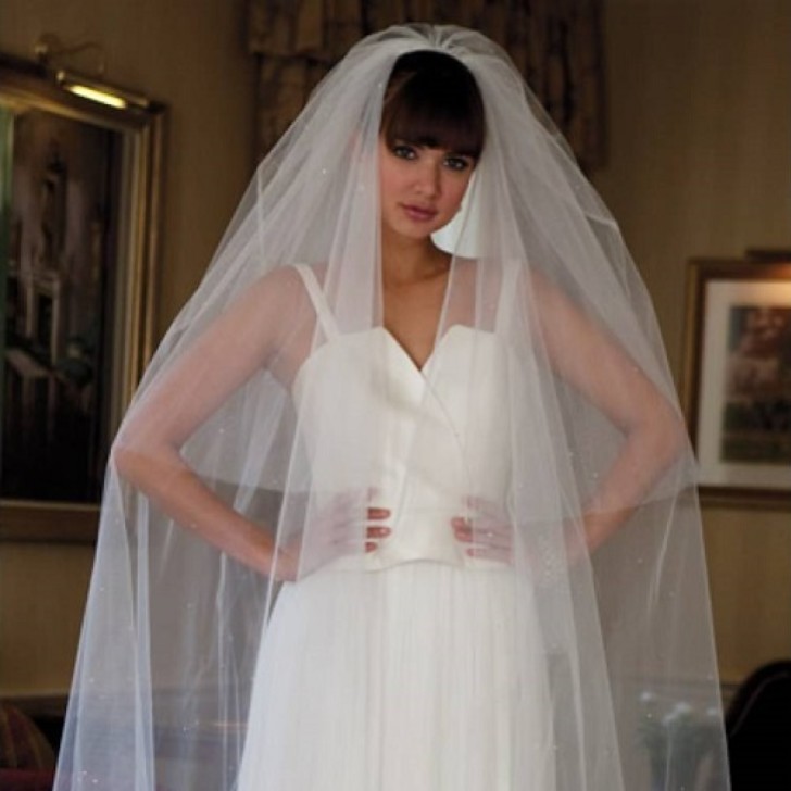 Joyce Jackson Velo da sposa con diamanti sparsi del Cairo con bordo tagliato