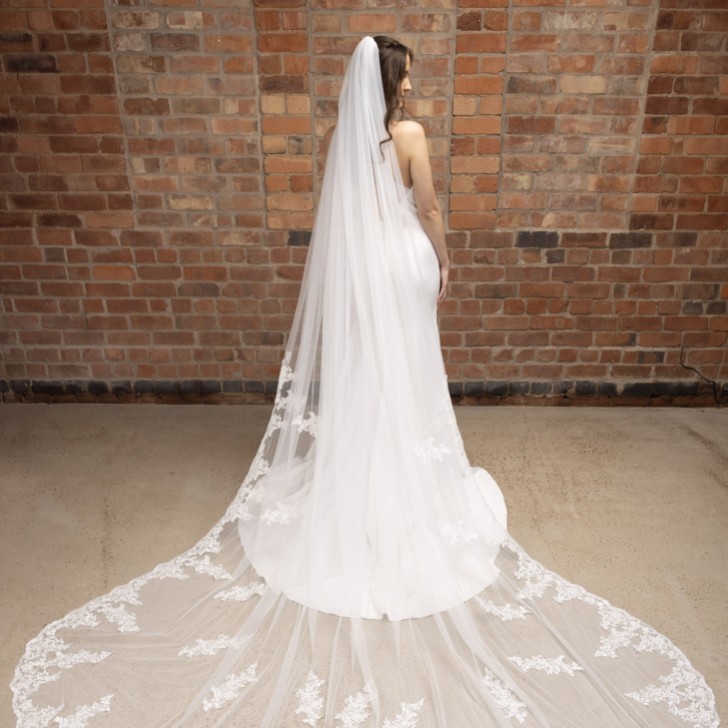 Perfect Bridal Ivory Single Tier Corded Lace Cathedral Veil with Motifs