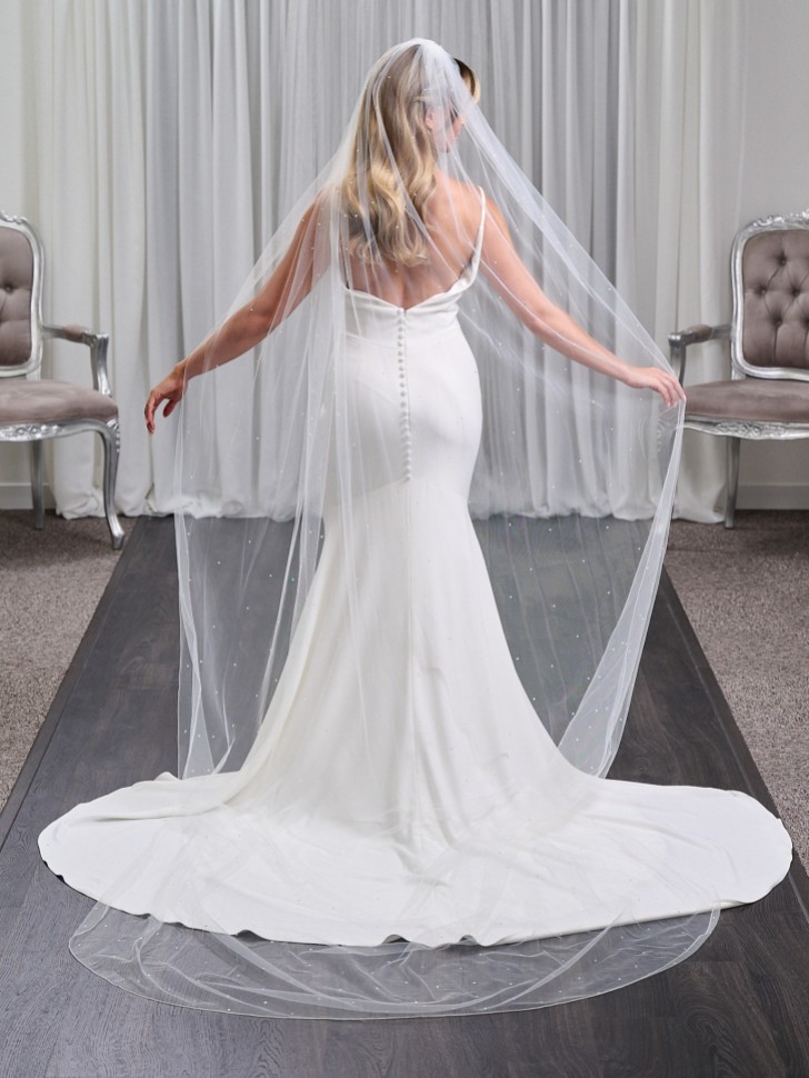 Lovington Long Ivory Single Tier Scattered Diamante Veil with Corded Edge